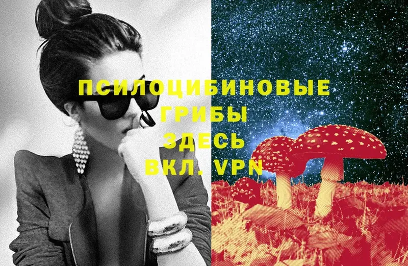 Псилоцибиновые грибы Magic Shrooms  гидра сайт  Киреевск 